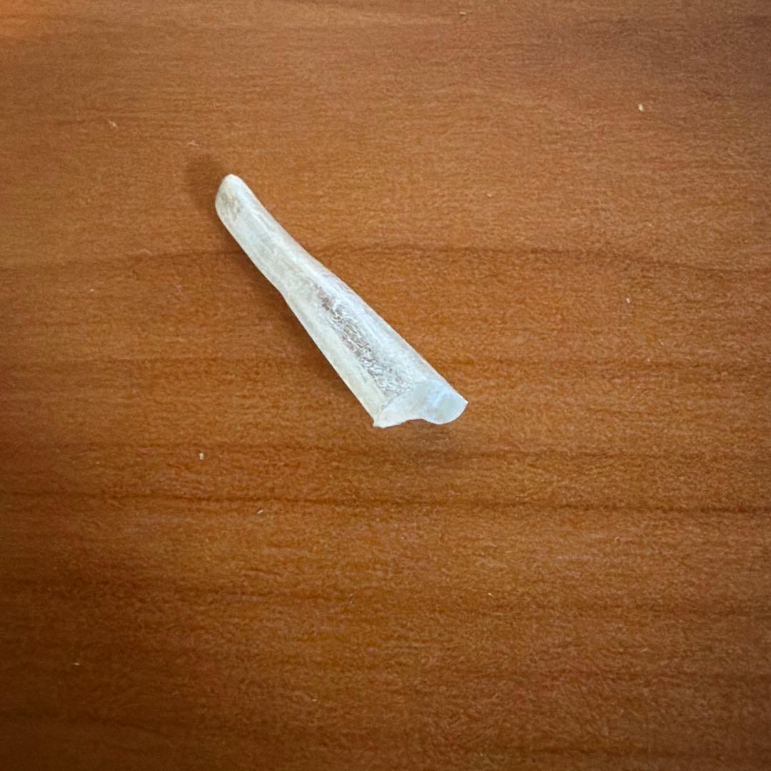 ワンピース　ジンベエ　ガレージキット　フィギュア