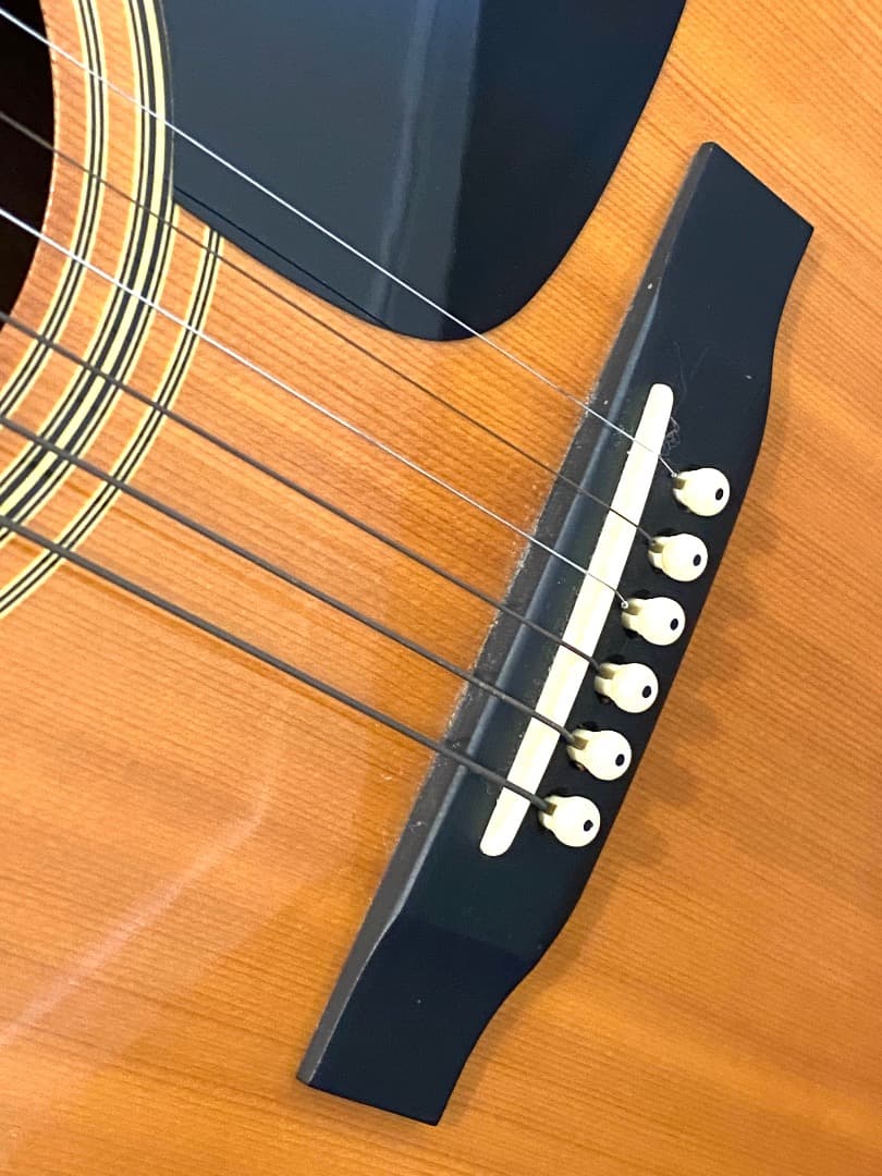 【送料込み】Morris モーリス MD-502 アコースティック ギター