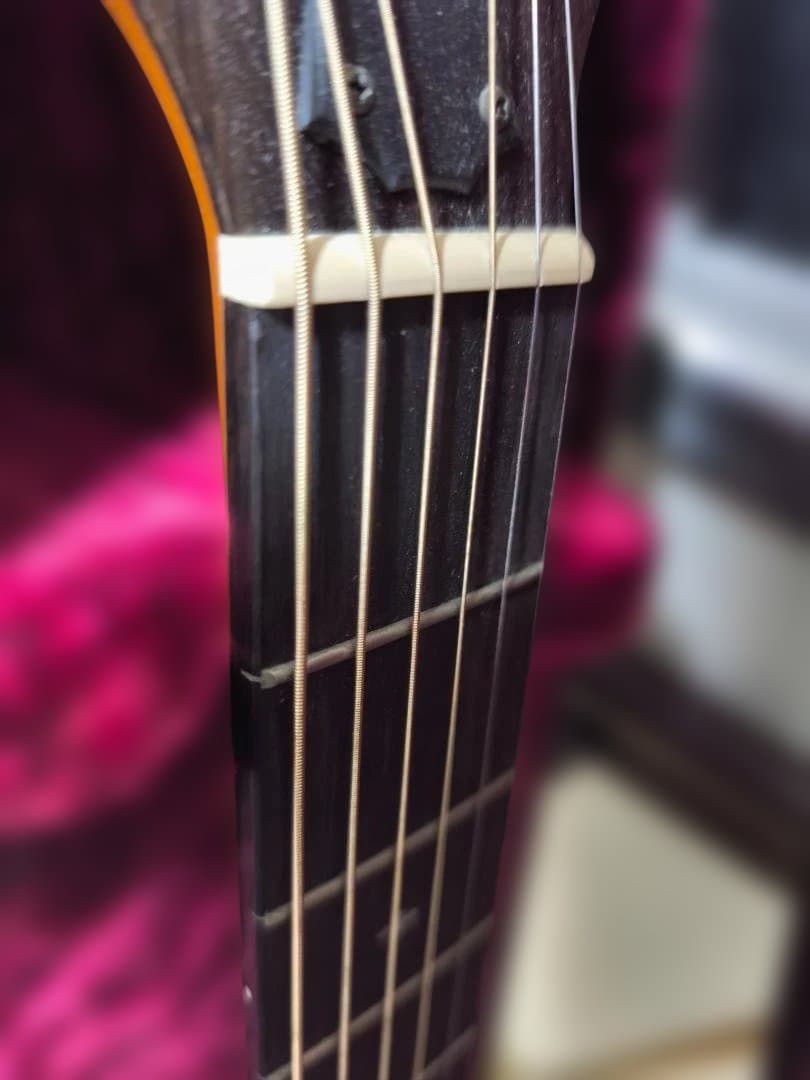 【へこみあり】Taylor 214se