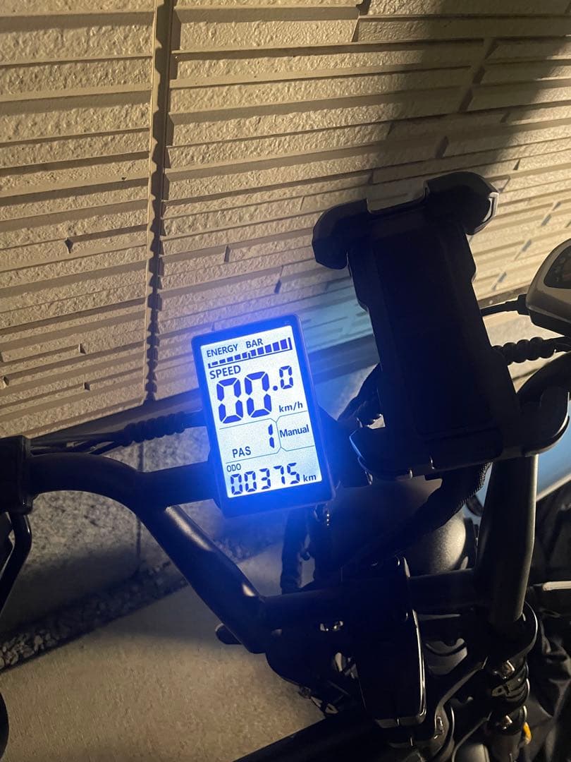 ホリデット 電動アシスト自転車 マットブラック