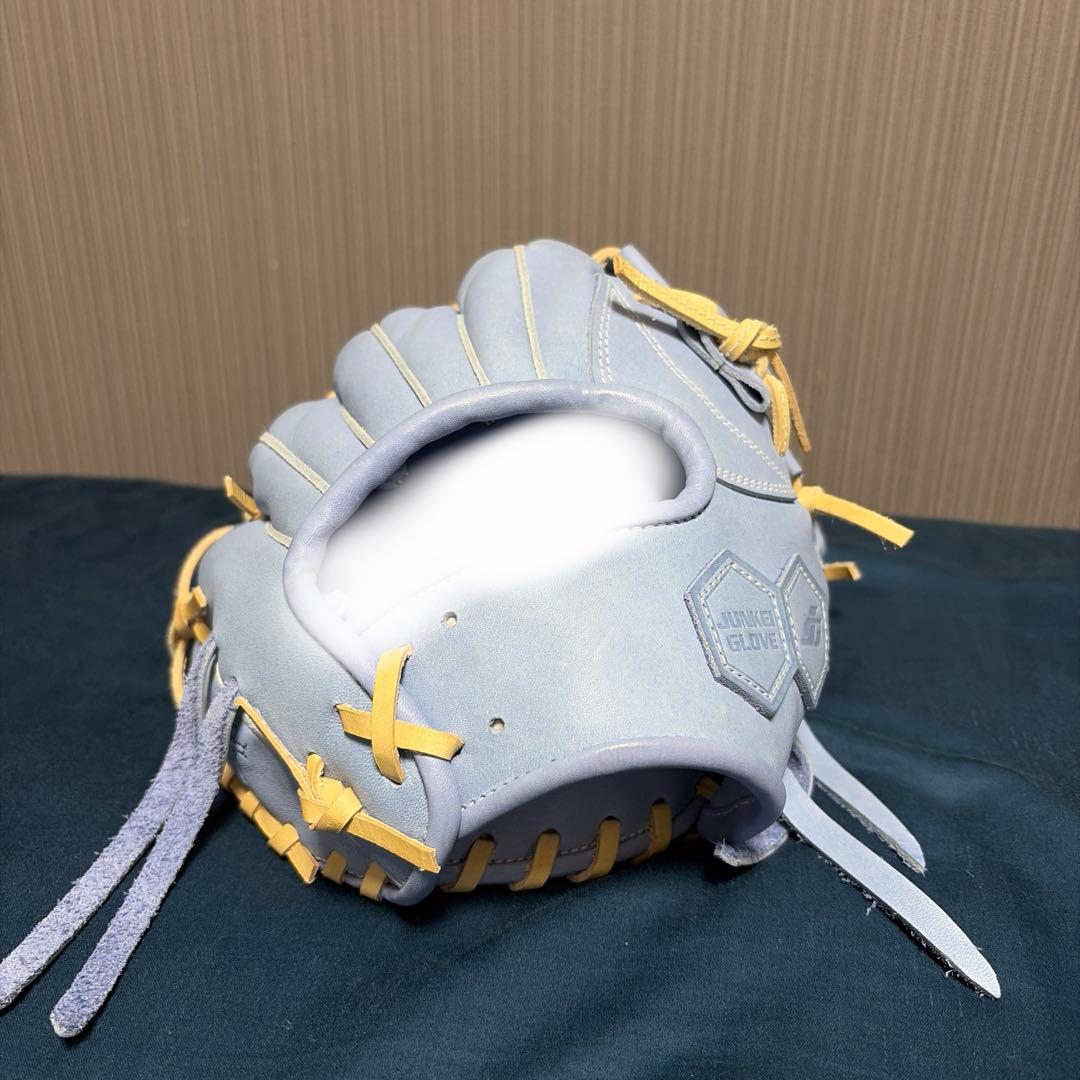 ジュンケイ藤カラー418型