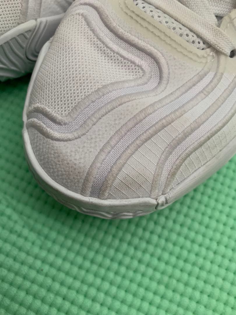 NIKE JORDAN TATUM 3 24.5cm(中古)
