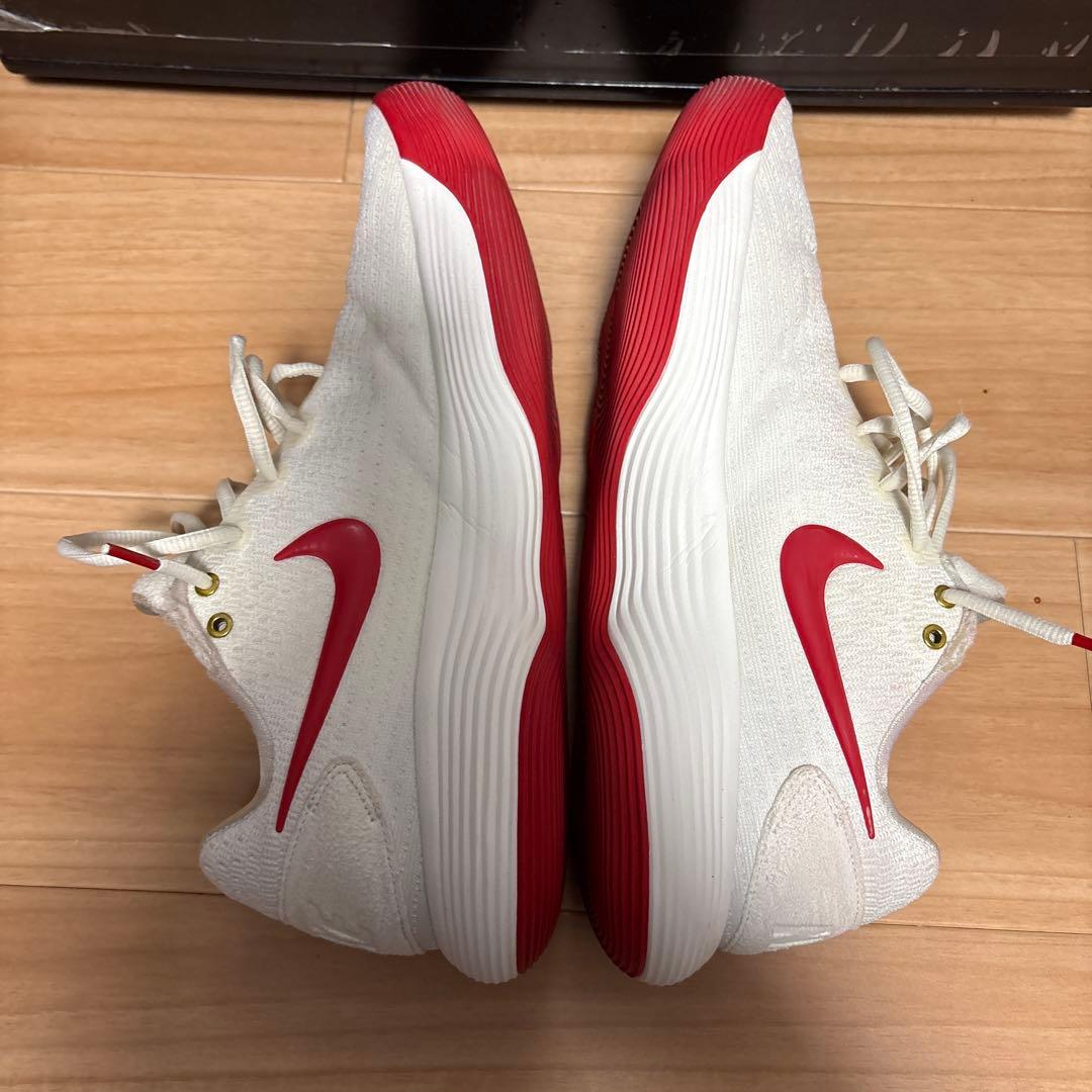 NIKE ハイパーダンク2017 Low 28.5cm
