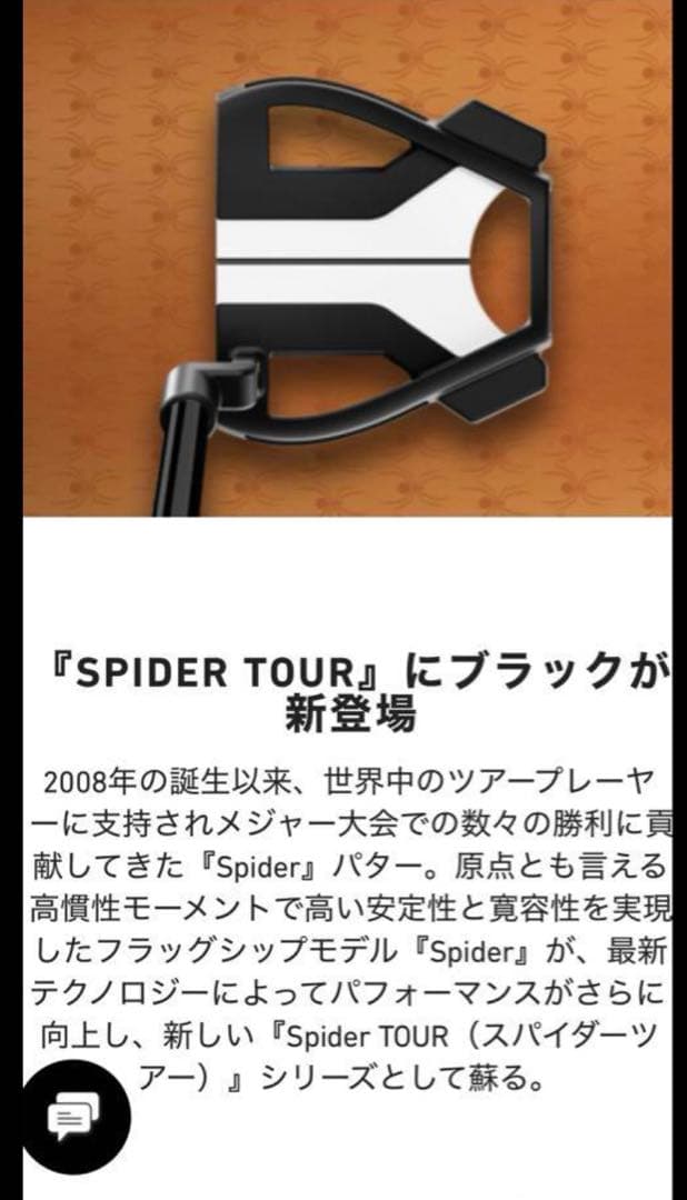 新品 テーラーメイド スパイダー ツアーX パター マキロイモデル 33インチ