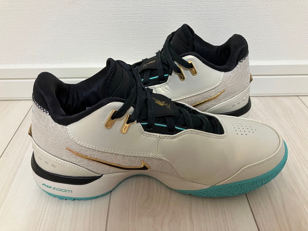 NIKE LEBRON NXXT GEN EP 26.5cm レブロン