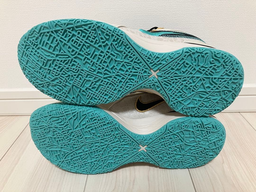 NIKE LEBRON NXXT GEN EP 26.5cm レブロン
