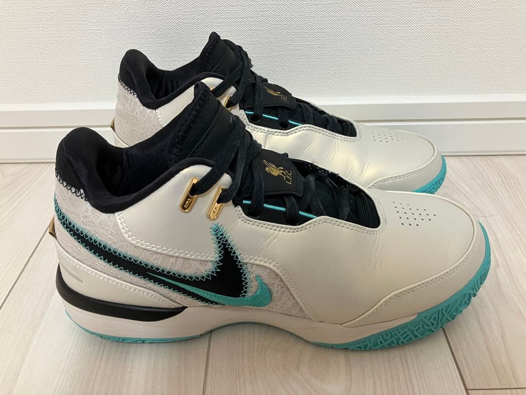NIKE LEBRON NXXT GEN EP 26.5cm レブロン