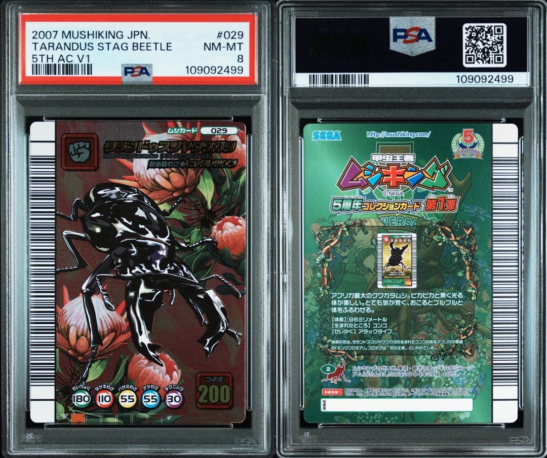 【PSA8】 ムシキング5周年　タランドゥスオオツヤクワガタ　ヒャクレツケン