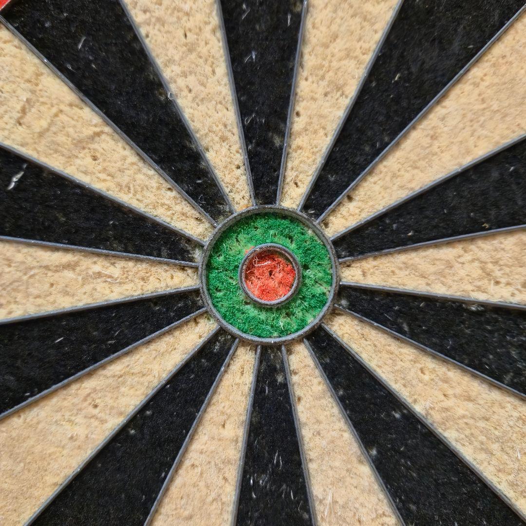 【ちぇけぽい様】WINMAU BLADE 5 DUAL CORE ダーツボード