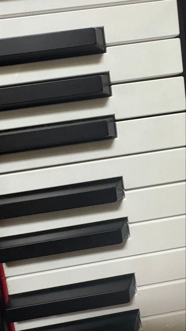 Roland GO:PIANO88 発送可