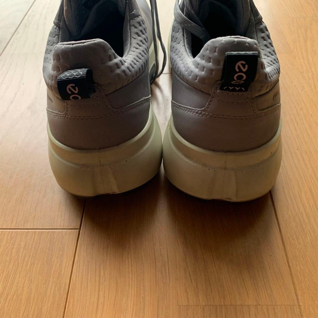 ECCO BIOM Hybrid ゴルフシューズ EU42 美品 ケース付