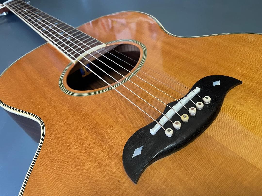 ギター Aria Elecord FE-60
