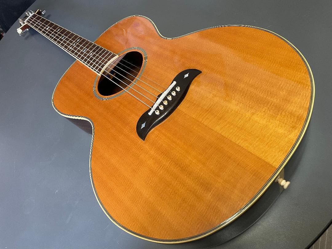 ギター Aria Elecord FE-60