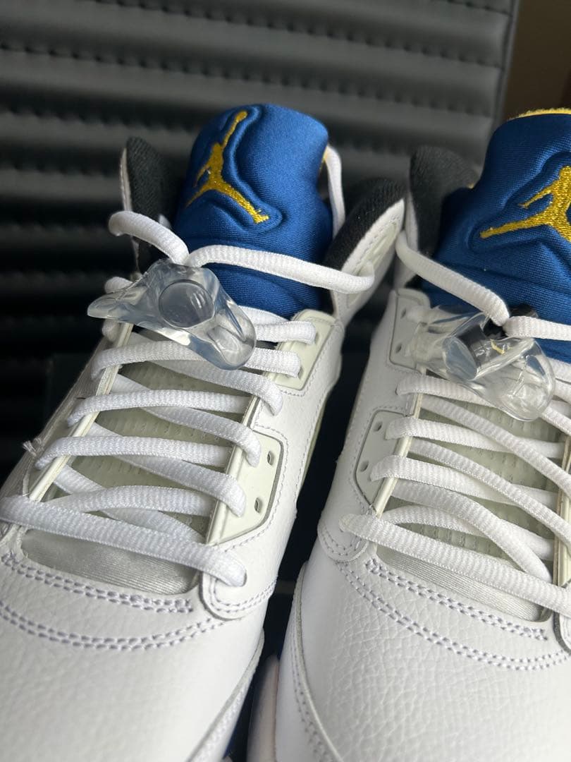 Nike エアジョーダン5Air Jordan 5 Retro レイニー5
