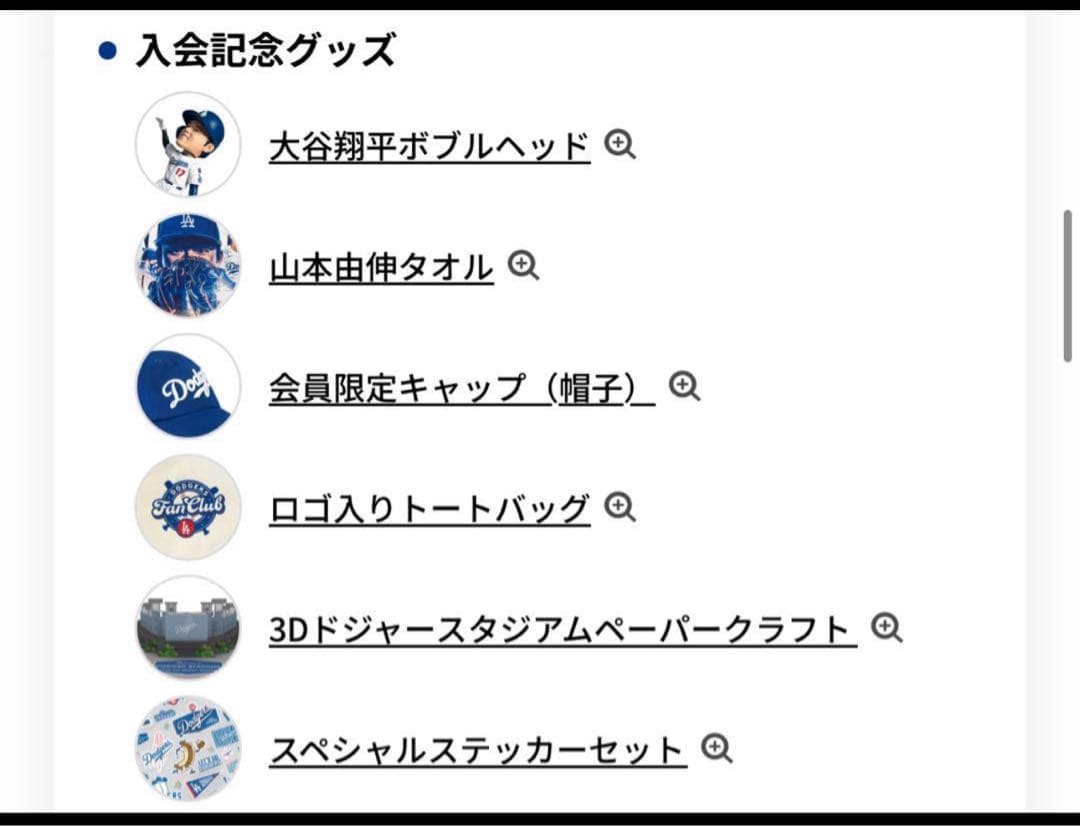Dodgers Fan Club Box ドジャース VIP会員 大谷翔平