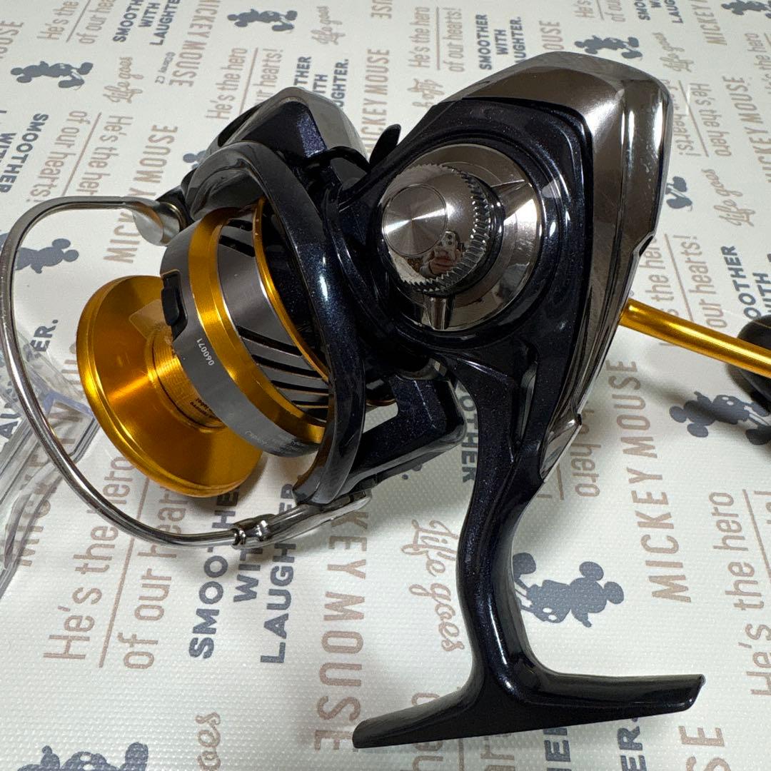 ダイワ 20レブロス LT6000D-H