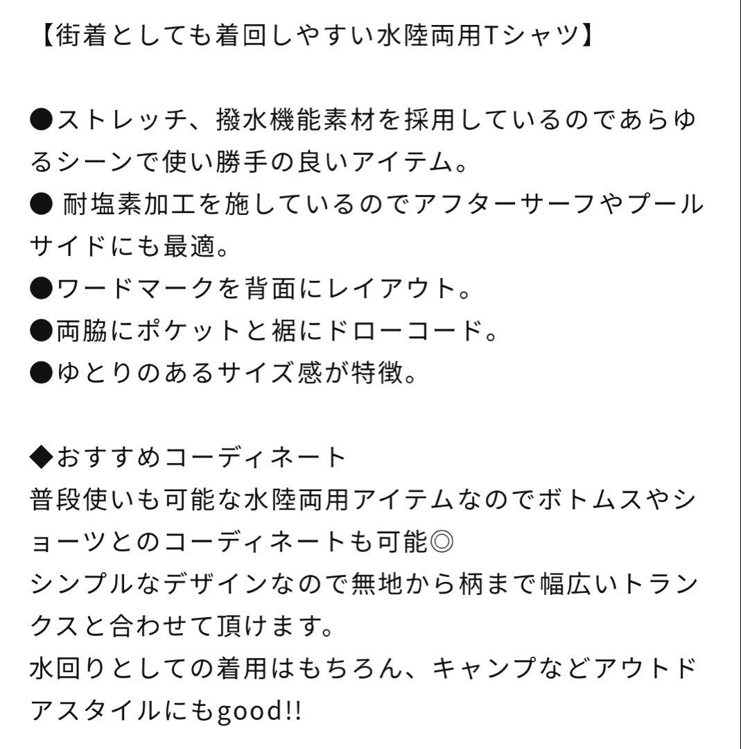 NEWERA ニューエラ Tシャツ ピステ 半袖