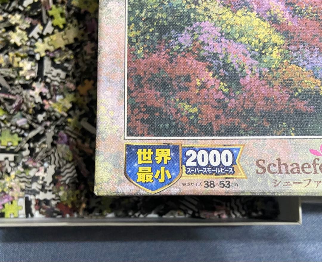 ジグゾーパズル 2点　　最上級者向け