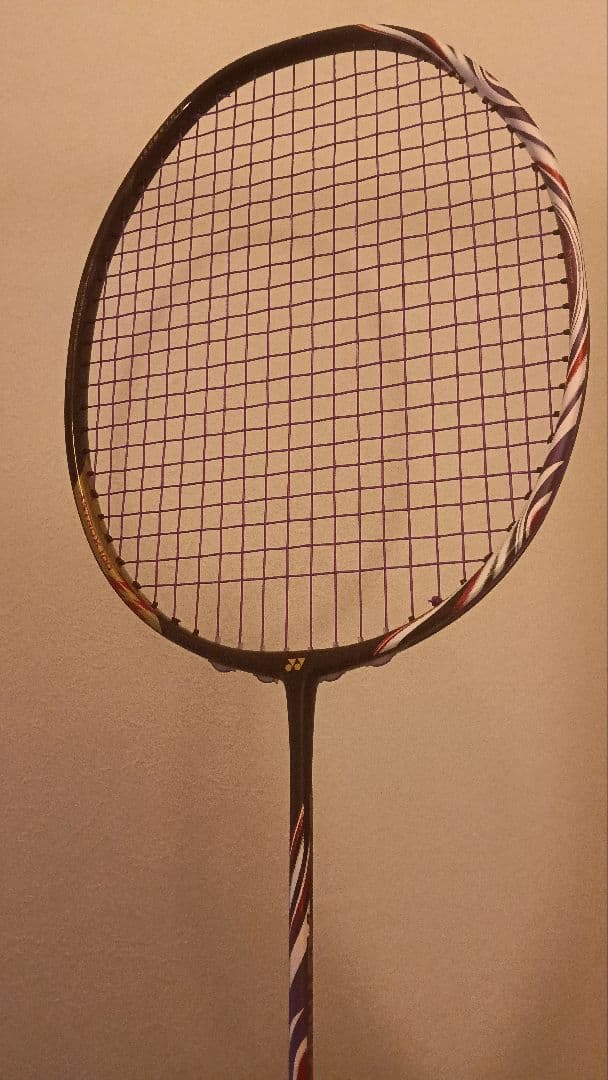 【超希少】 YONEX ASTROX 100zz bp