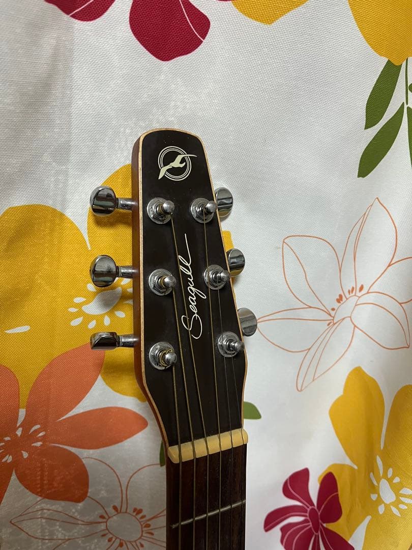 Seagull ギター Entourage Mini Jumbo Rustic