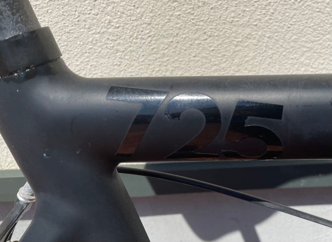 愛知引取 LeaderBike725 シングルスピード フリーギア サイズ54