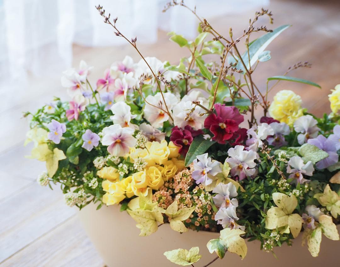 【リユース鉢お値引品】ロングオーバルポットの華やか寄せ植え