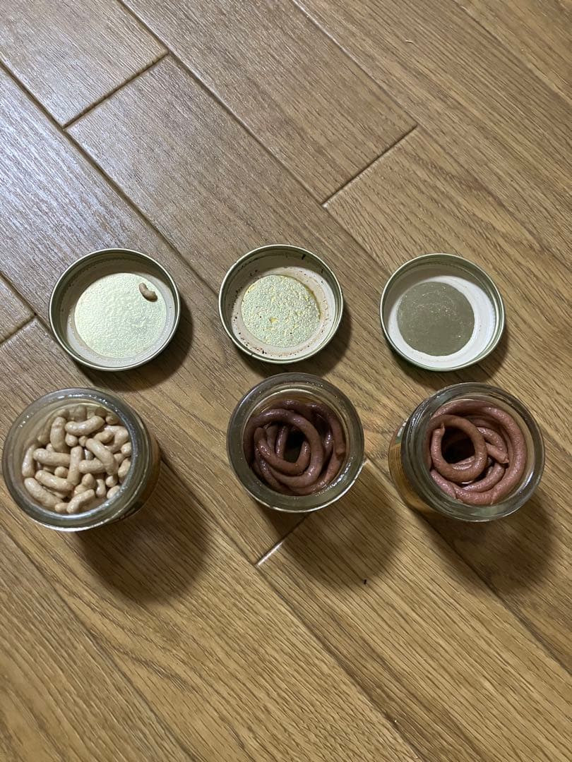 バークレイ瓶ワーム　激レア！！