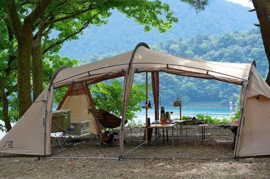 Sabbatical Gilia サバティカル ギリア+オプション