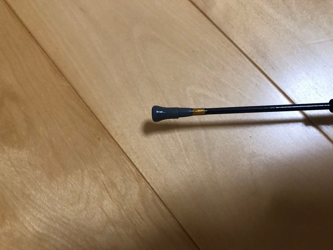 ダイワ　INTERLINE REGAL 3-45　遠投