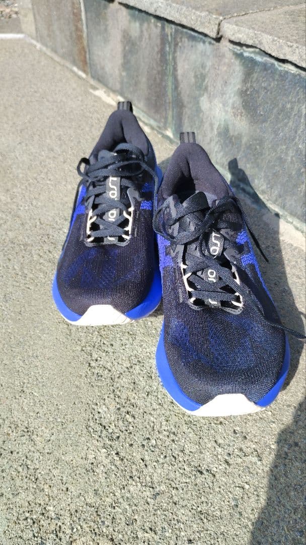 ASICS NOVABRAST5 ノヴァブラスト5　26.5cm走行距離30キロ