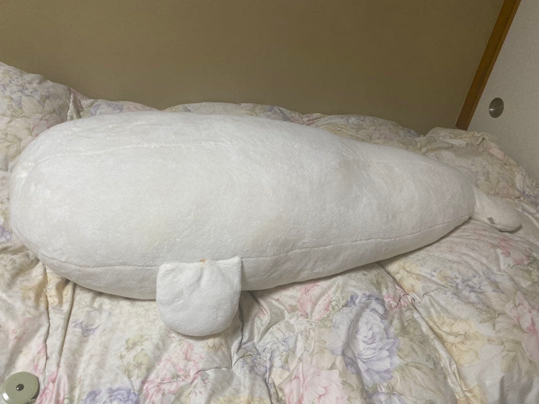 【限定品】しろたん 巨大ぬいぐるみ（約1.2m）カエル付き　完売につき入手困難
