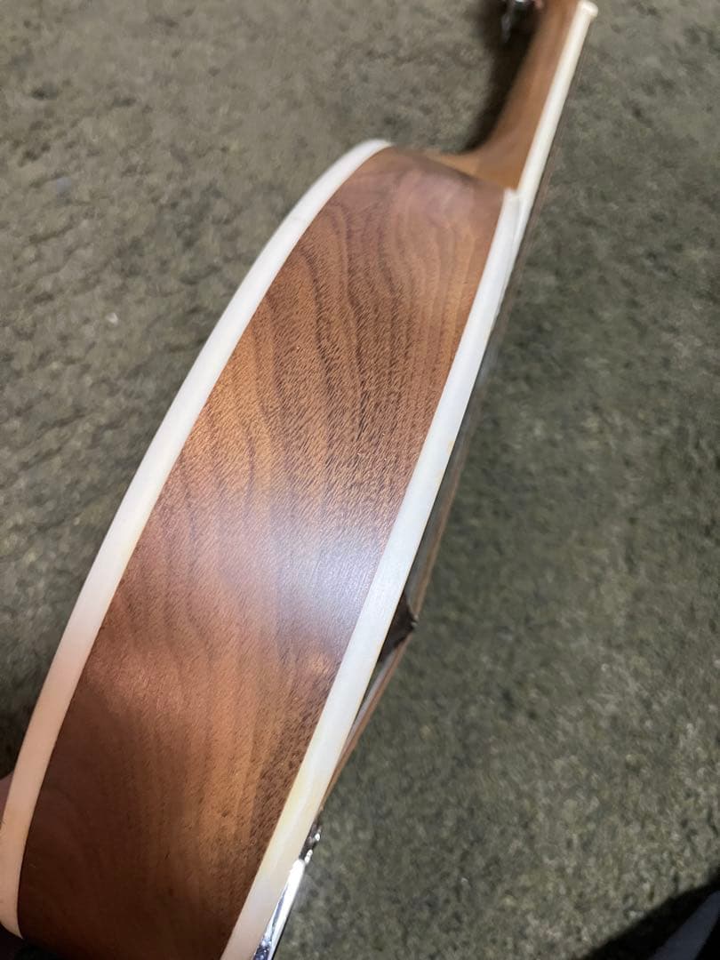 gui1952【英国購入】Blue Moon GR3120 マンドリン