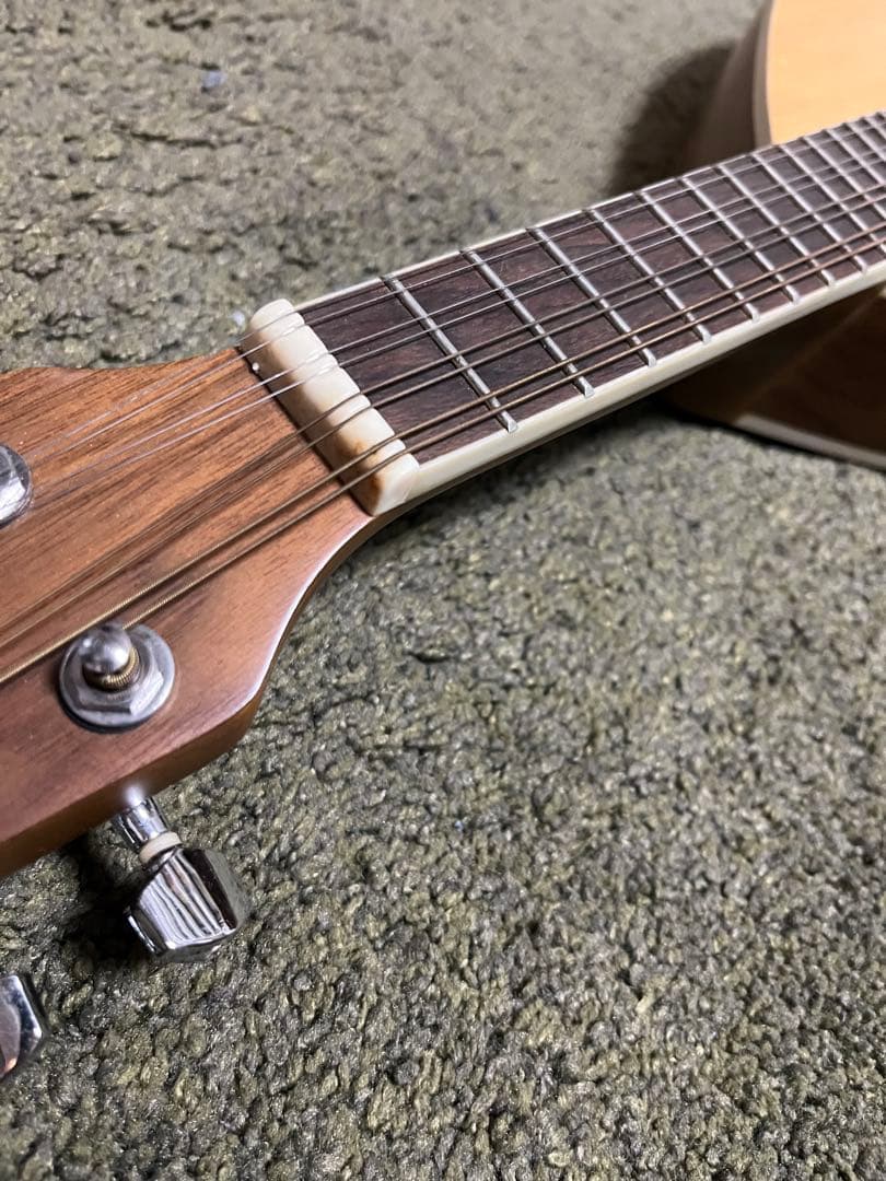 gui1952【英国購入】Blue Moon GR3120 マンドリン