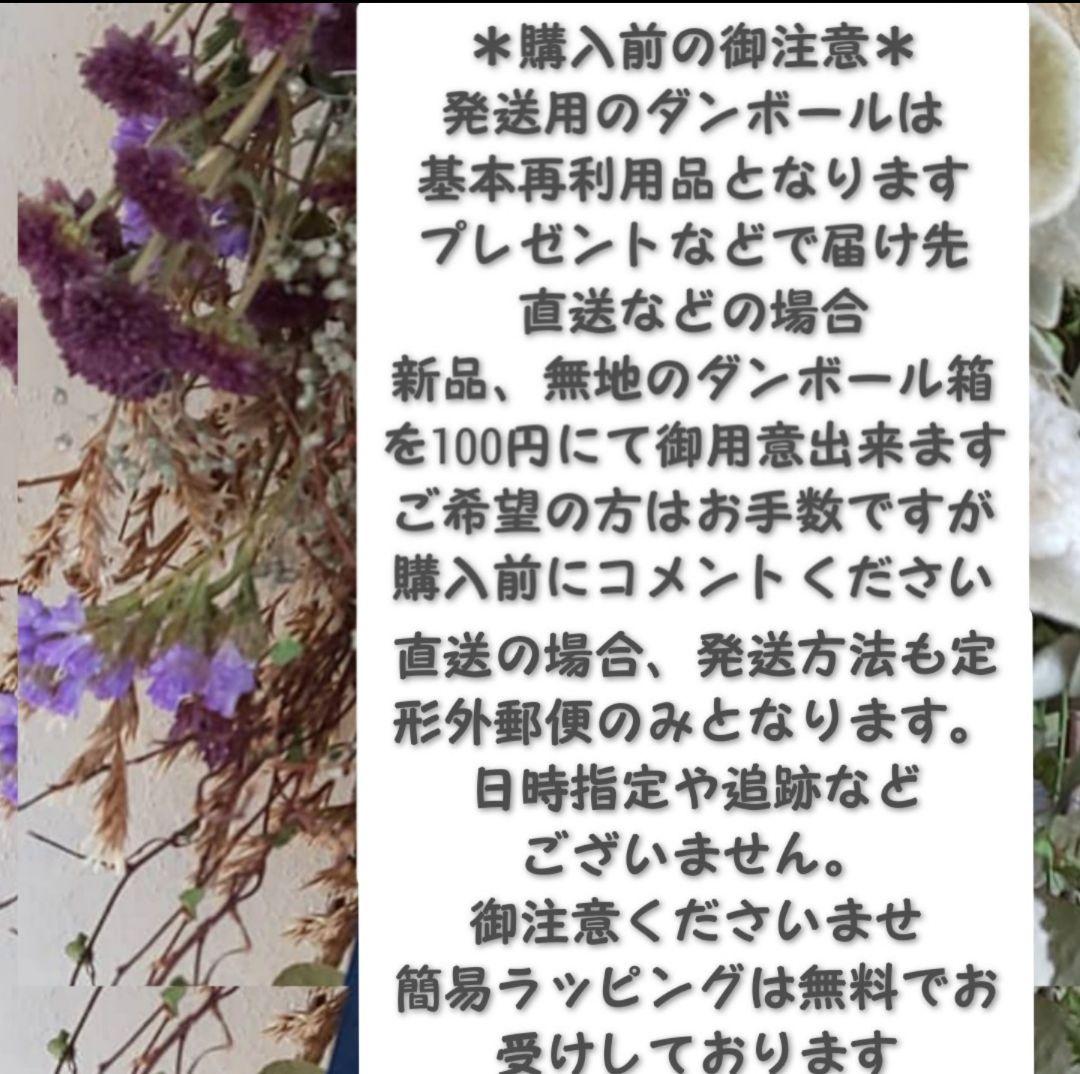 専用✨迎春2022✨正月飾り 木の実  (ドライ)