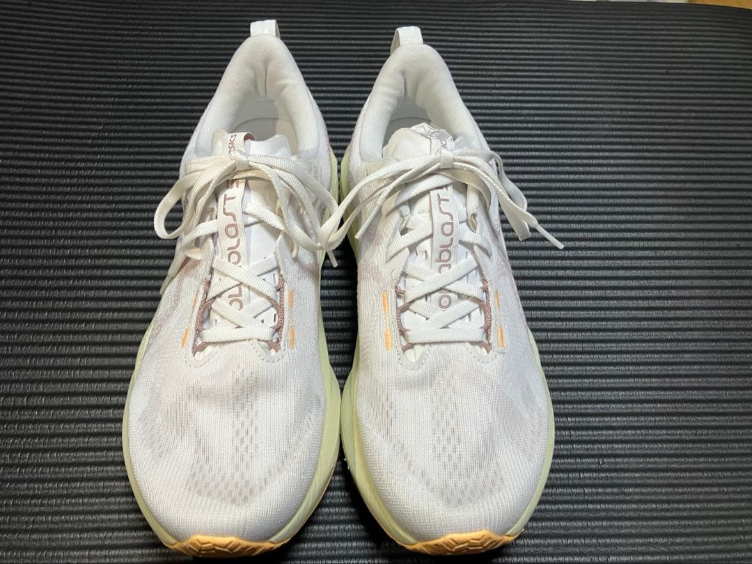 asics アシックス NOVABLAST5 ノヴァブラスト 5 28.0cm