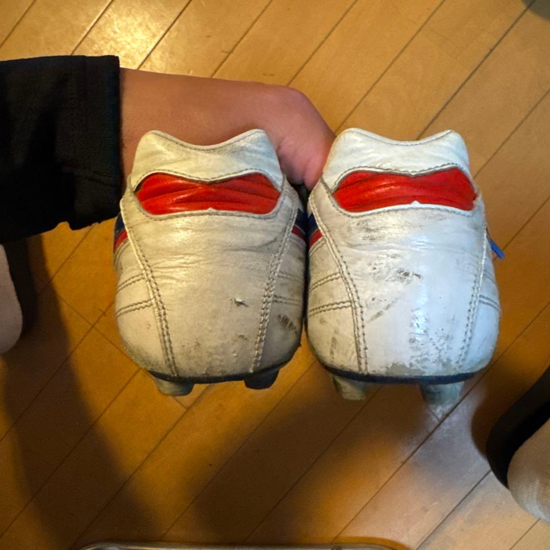 Mizuno Morelia ネオ2