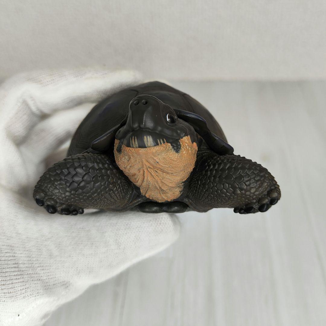 【動物の惑星】レア★ガラパゴスゾウガメ（シークレット）★フィギュア