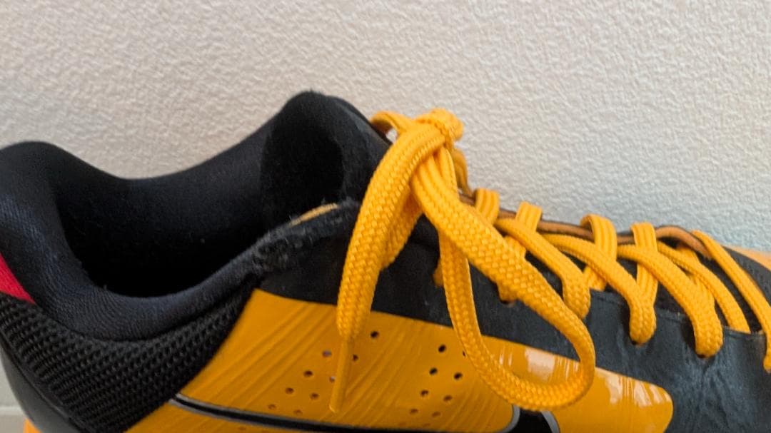 シューズ(男性用) Nike Kobe V Protro Bruce Lee