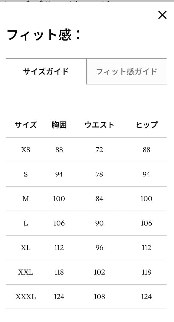Rapha ブルベジャージ XL 美品
