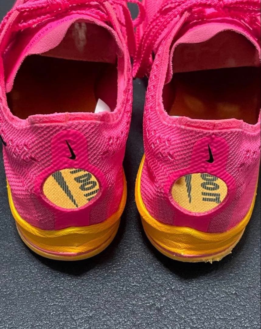 NIKEドラゴンフライ　25.5cm