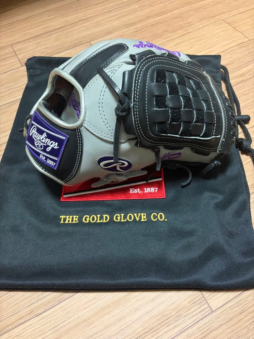 Rawlings ゴールドグローブ グレー 専用袋付き