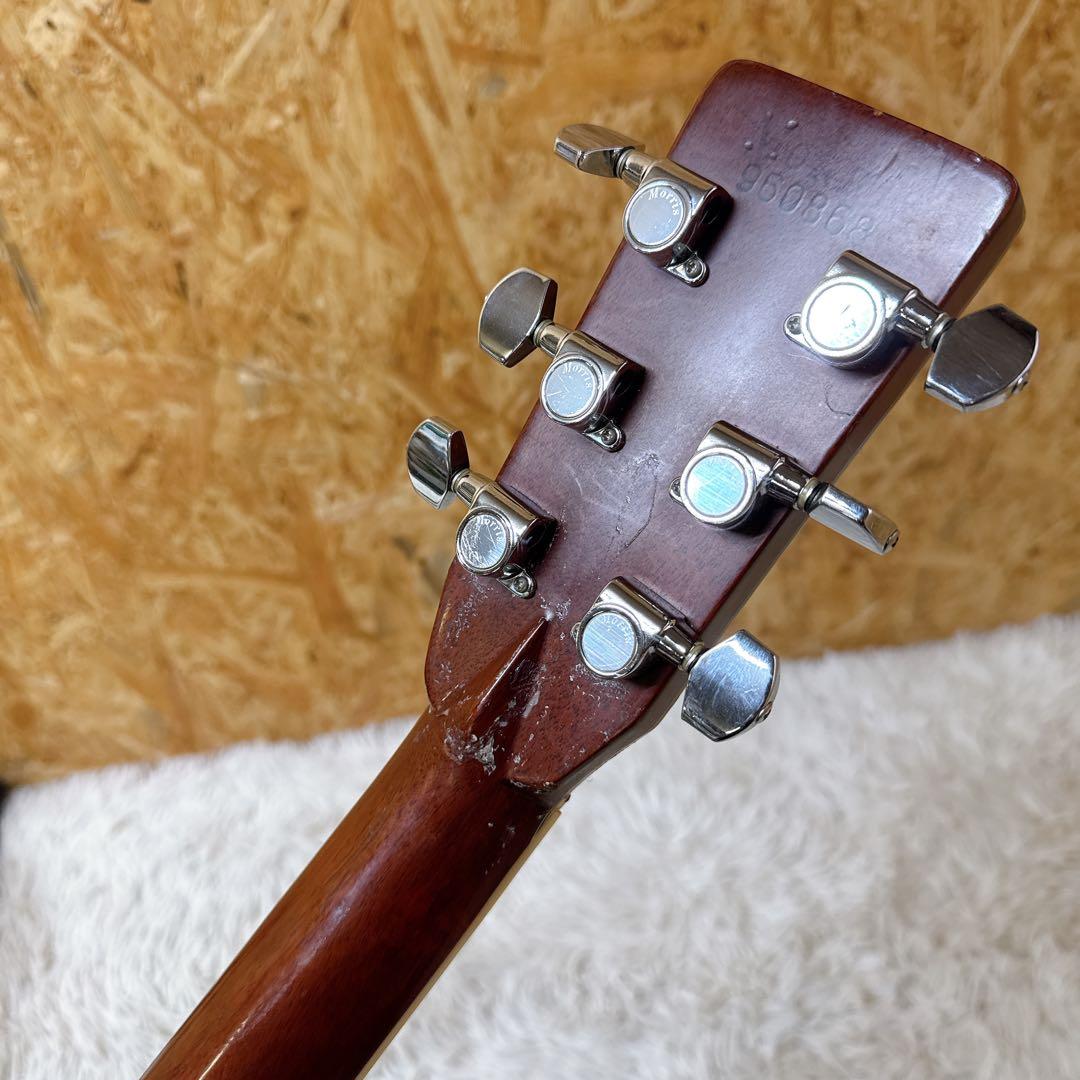 MORRIS W-50 スプルーストップ ヘキサゴンインレイ 3ピースバック