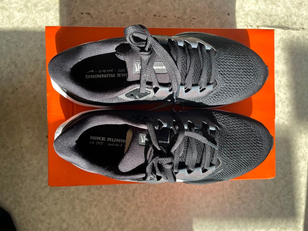 【美品】NIKEペガサス41 ブラック　25.5 cm
