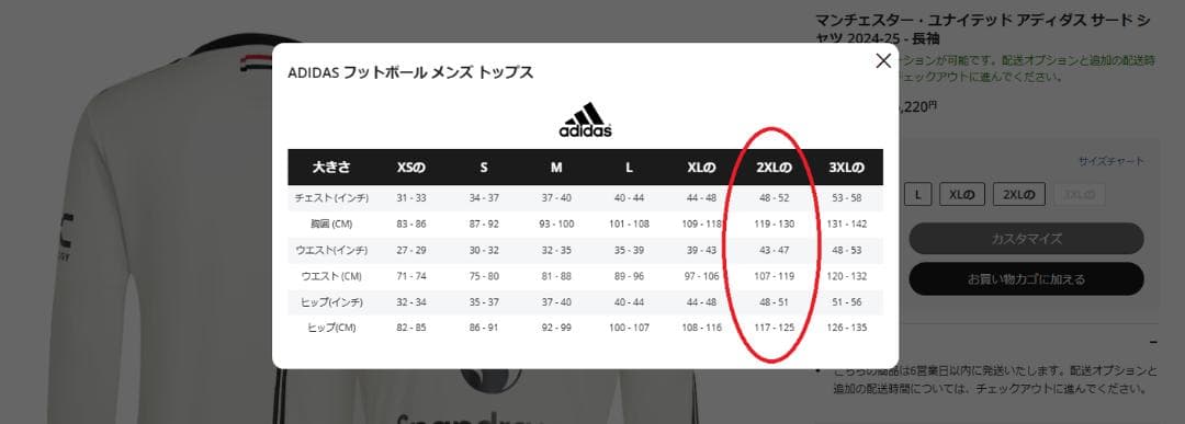 マンチェスター ユナイテッド 2024-25 3rd 長袖ユニフォーム