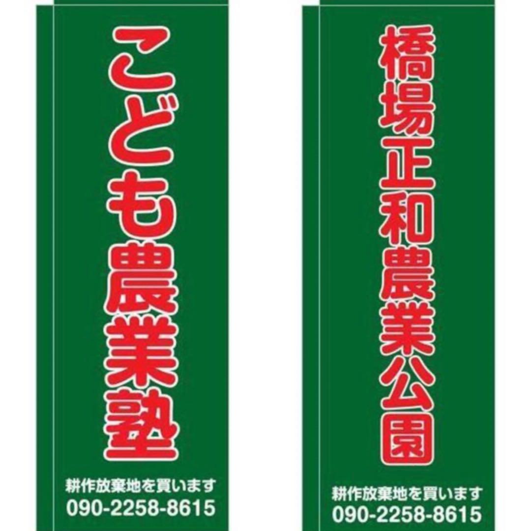 花乙女コレクション【大原裕行　紅い花・紅い葉】購入金額より60％お値引き！！
