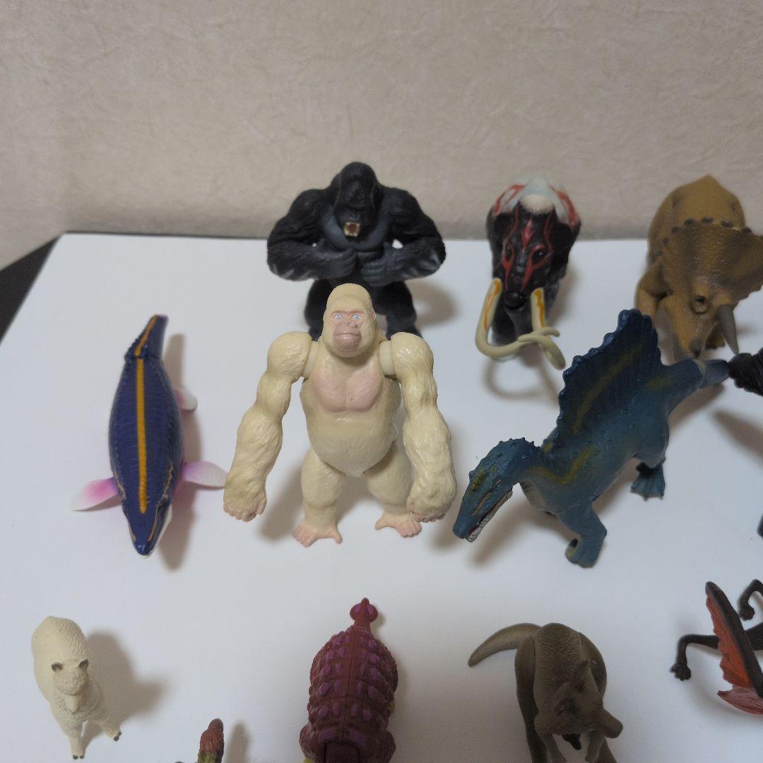 アニア　セット
