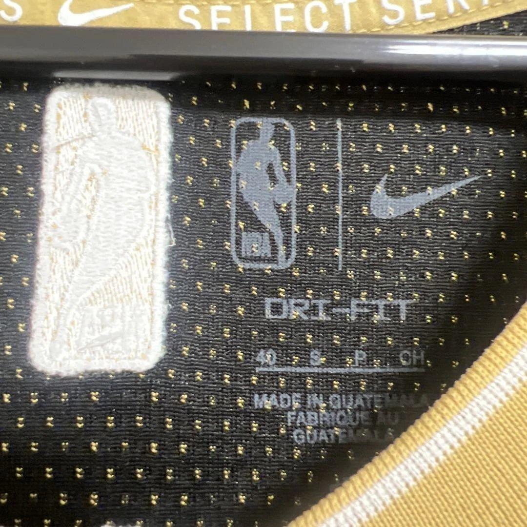 Nike NBAミルウォーキー・バックス ヤニス・アデトクンボ スウィングマン