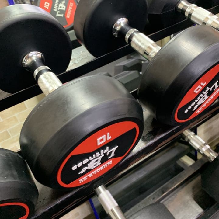 ラバーラウンドダンベル  22.5kg 2個