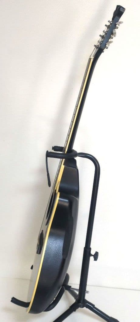 Morris エレアコ Tornado ZⅡ ソフトケース付