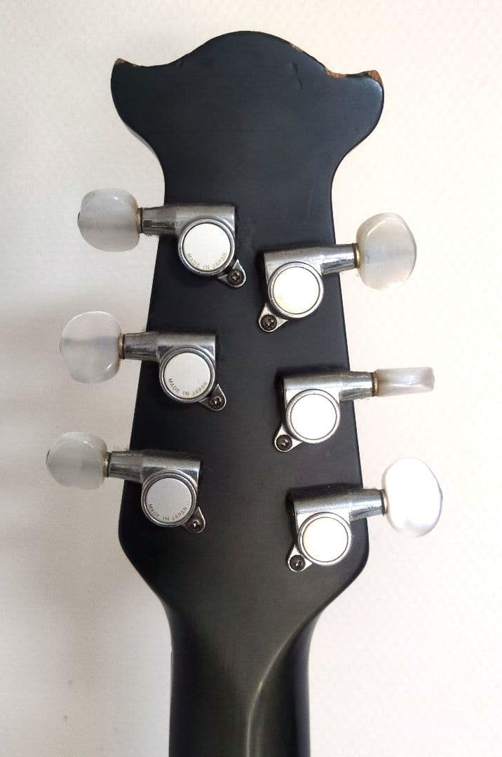 Morris エレアコ Tornado ZⅡ ソフトケース付